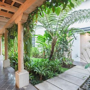 Standard Twin Room Garden View